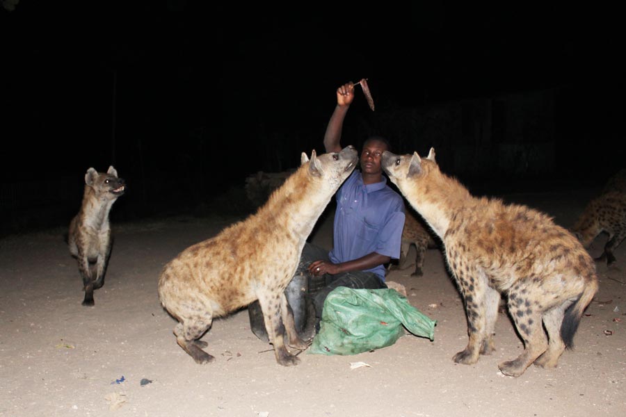 Harar and Eastern Ethiopia
